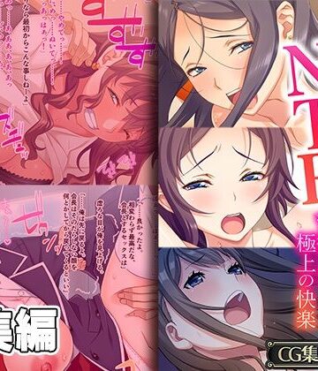 禁断のNTRセフレ 〜背徳Hは極上の快感〜【CG集コレクション】