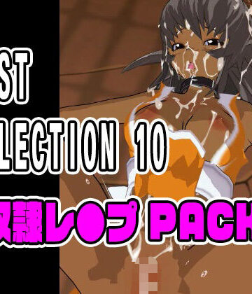 BEST SELECTION 10【奴●レ●プPACK】