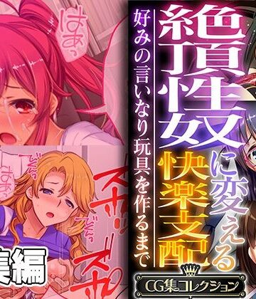 絶頂性奴に変える快楽支配 〜好みの言いなり玩具を作るまで〜【CG集コレクション】