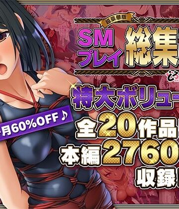 【超豪華版】SMプレイ 総集編【どろっぷす！】