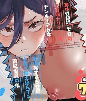 キスなんかしたら赤ちゃんデキちゃうだろうが！ 〜実は性知識ゼロの三白眼ヤリマン（噂）ヤンキーデカ女と、実は強すぎる性欲を必死で抑え込んでる風紀委員の僕〜