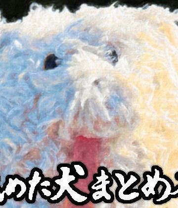 舐めた犬まとめ本
