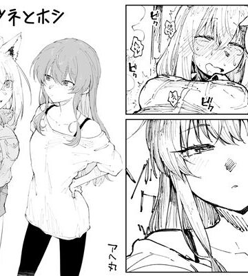 キツネとホシ
